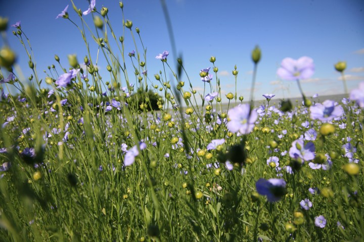 5537132829_dc77980764_o