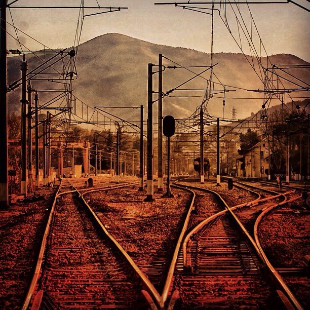 912223_10151461642847851_1365322223_n