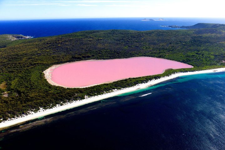 Lake Hillier, is a lake on Middle Island, the largest of the islands and islets that make up the Recherche Archipelago, Western Australia. The most notable feature of this lake is its pink colour. It is such a significant distinguishing feature of the archipelago that air passengers often take note of it. The colour is permanent, and does not alter when the water is taken in a container. The length of the lake is about six hundred metres. The lake is surrounded by a rim of sand and a dense woodland of paperbark and eucalyptus trees with a narrow strip of sand dunes covered by vegetation separating it to the north from the Southern Ocean.