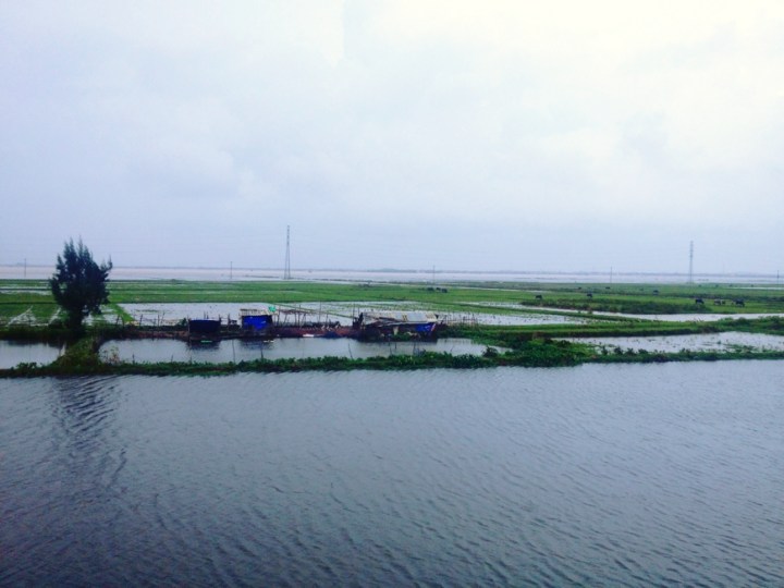 2013-10-16 14.45.14-1