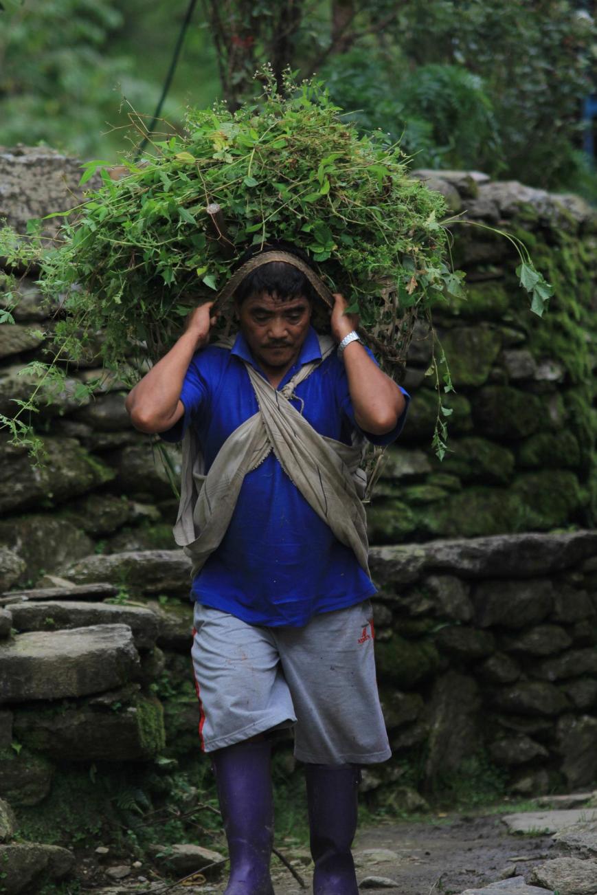 132078_10151172948142851_2052500285_o