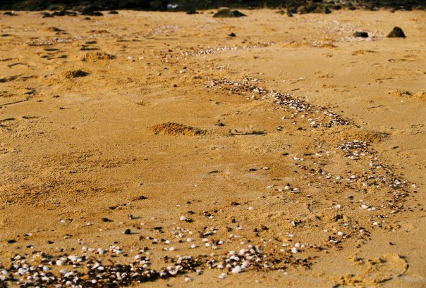 21031_305901782850_6938173_n