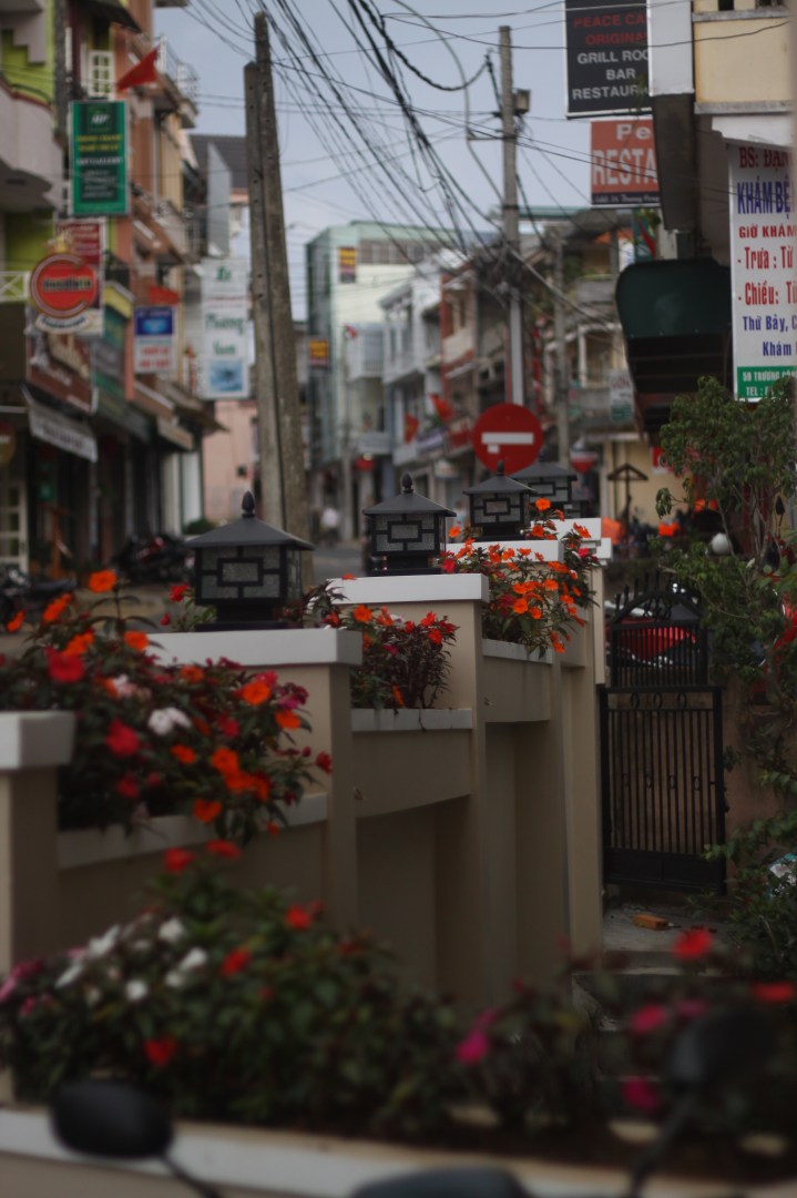 Đường Trương Công Định - Dalat 