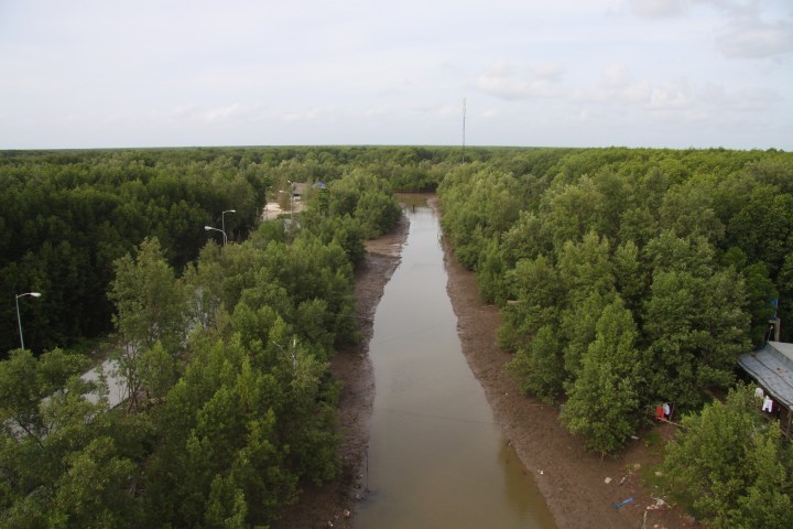 Mêng mang đất Mũi 