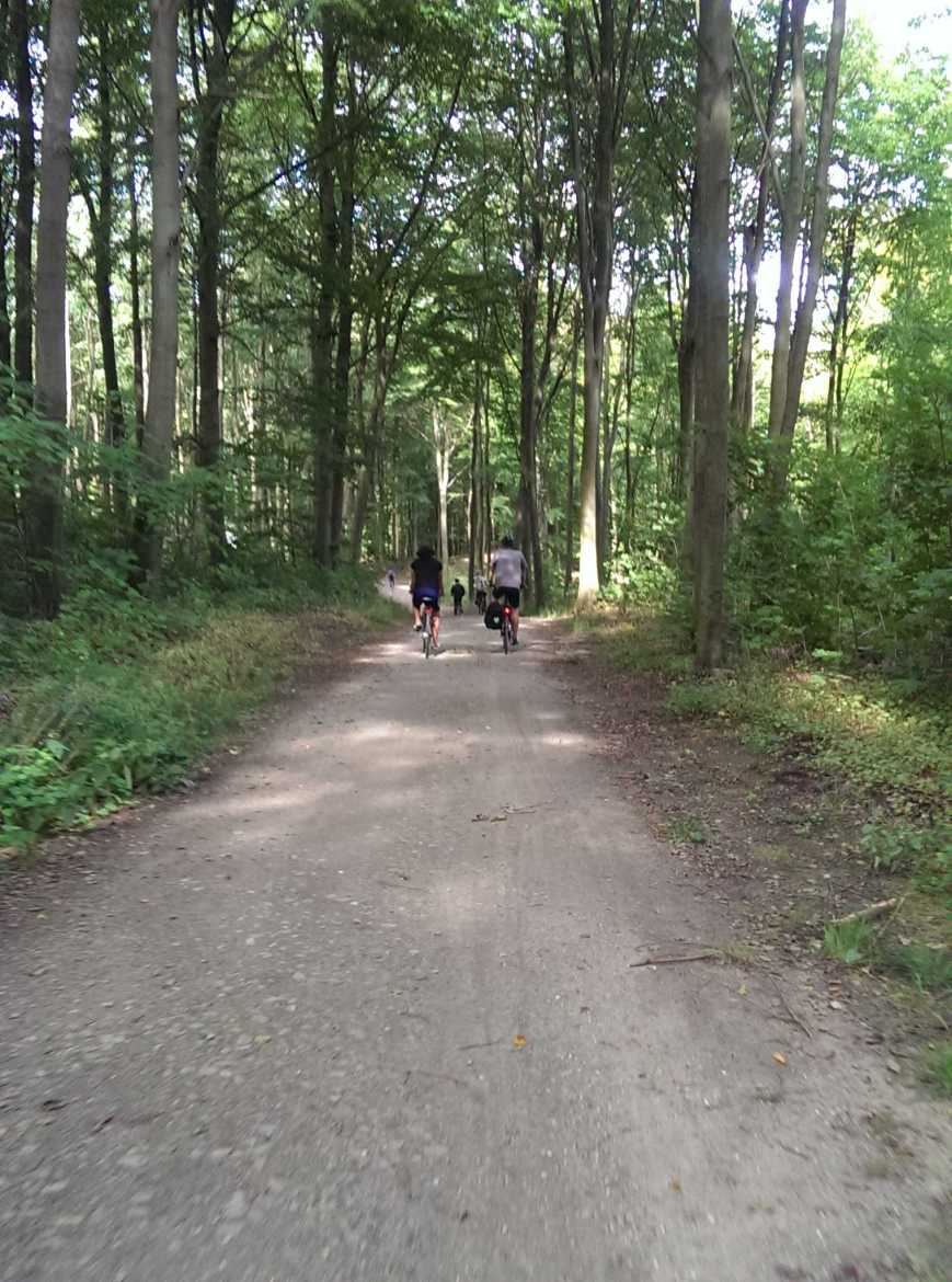 Đạp xe xuyên rừng