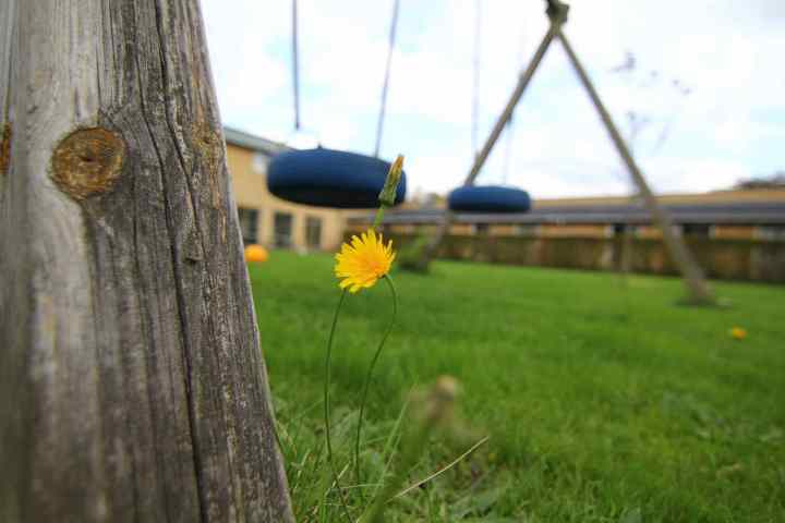 Một góc tĩnh lặng và rất thơ ở IPC 