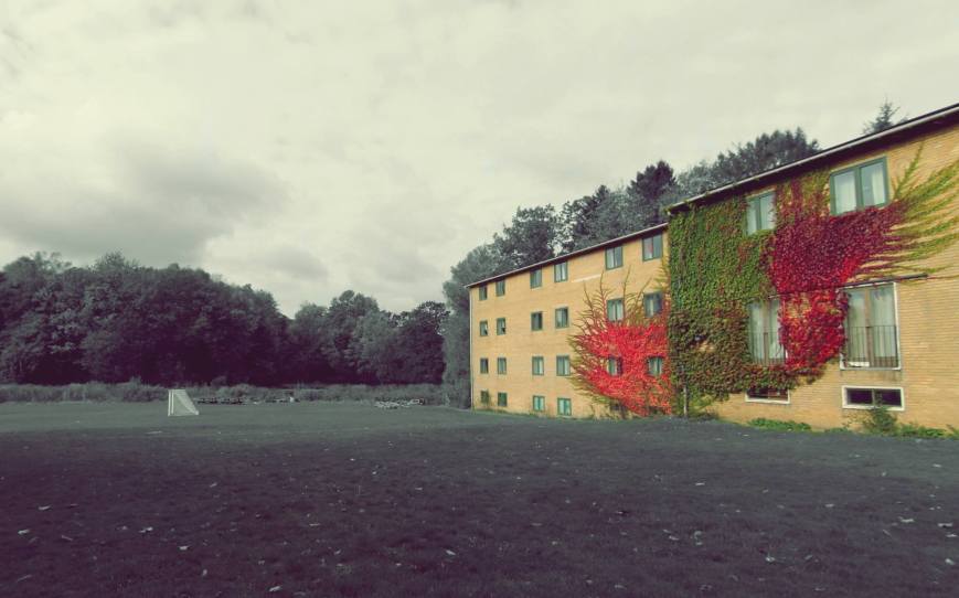 Một góc thơ mộng phía sau IPC - nhìn ra là cánh rừng bí mật 