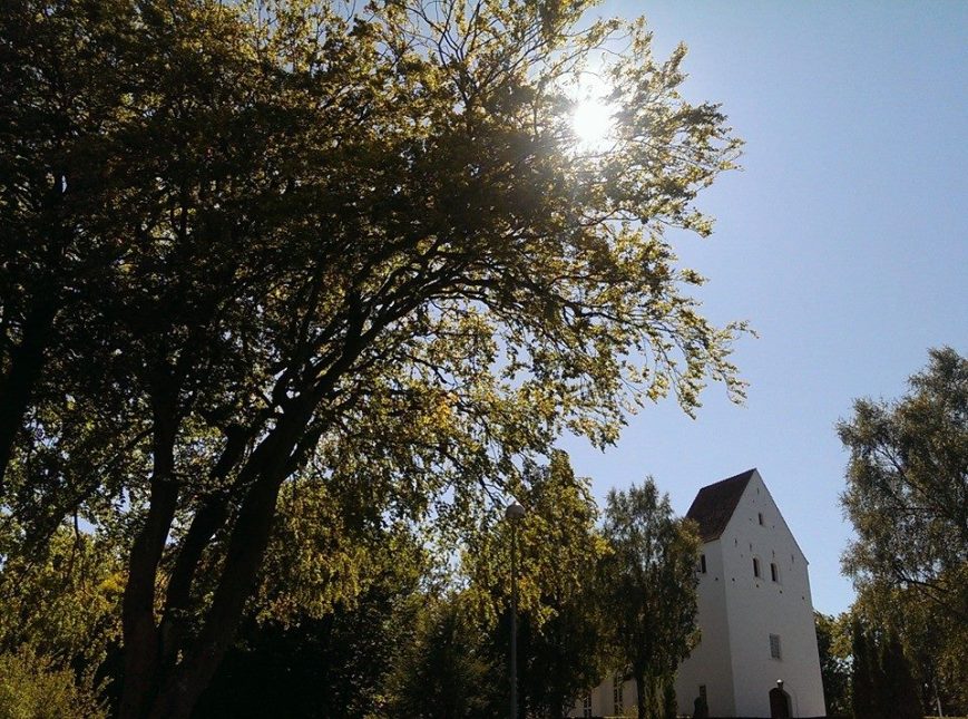 10653332_1471600363108593_530142296872993136_n