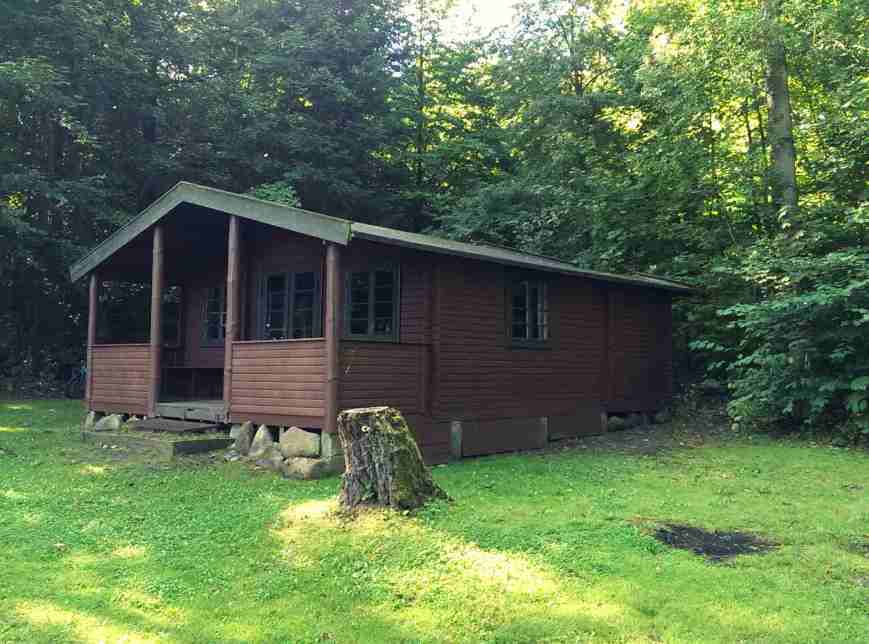 Ngôi nhà nhỏ trong rừng 