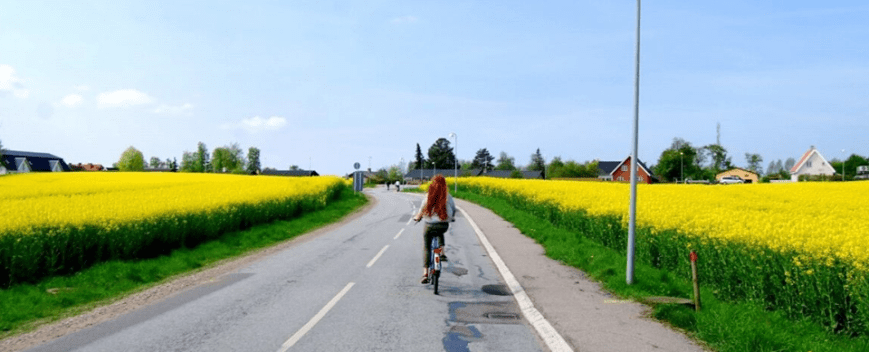 10509595_10152603663637372_8992950690182783660_n