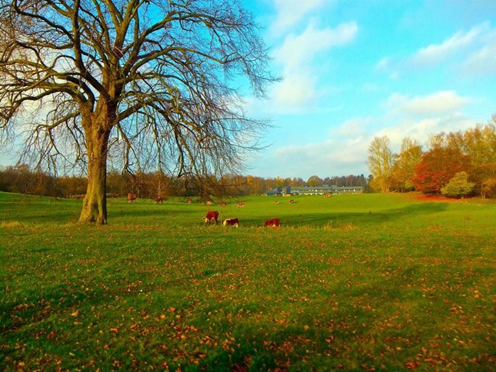 10169260_1012730608752496_6444852167201897281_n