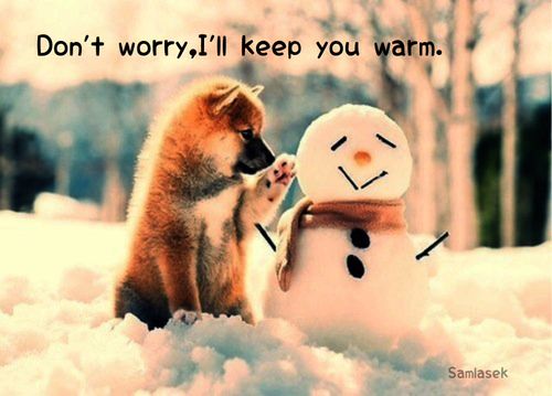 02e25e2dd73637f92630f4d6813b5962