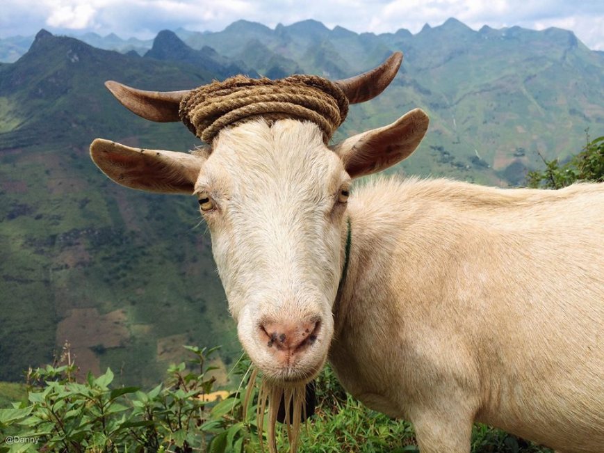 11224509_867763343328668_5341770246803828537_o