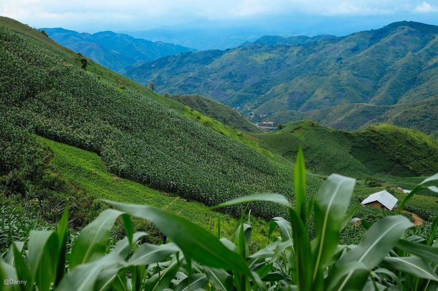 13346135_865672016871134_9073120202851088352_o