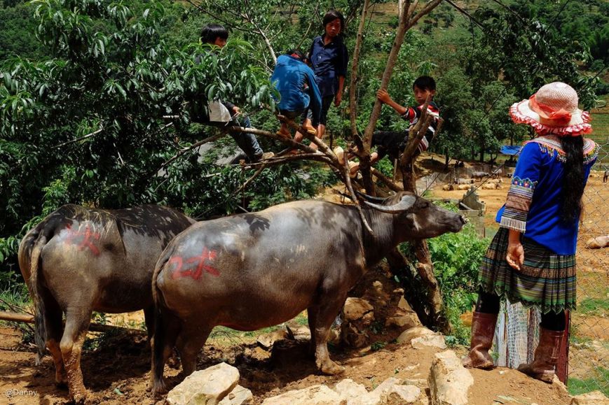 13350283_866718736766462_8085310117796529491_o