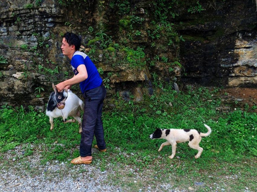 13391427_867763696661966_9131390826610124216_o