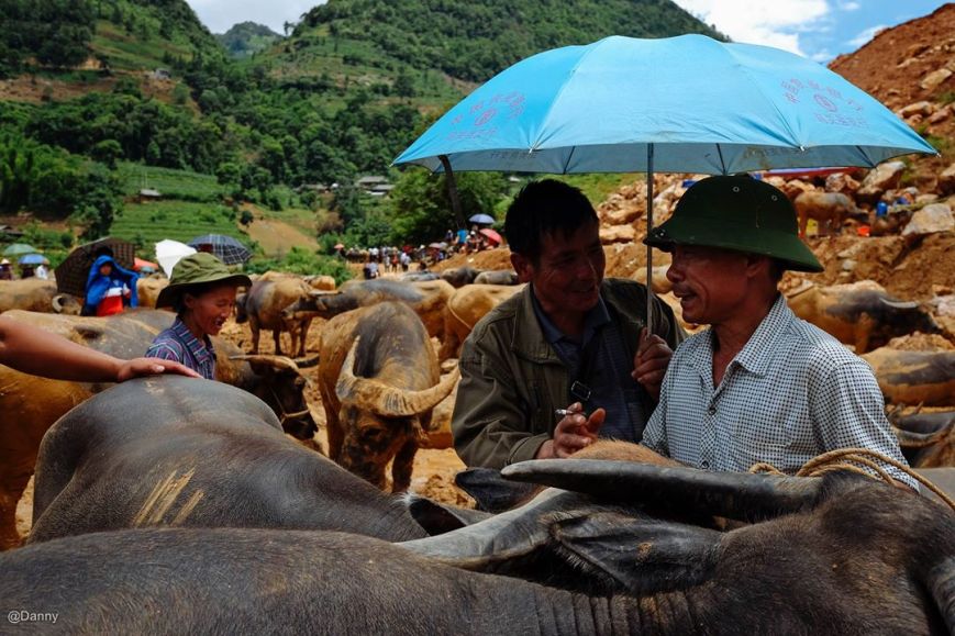 13391495_866717643433238_5840085212125677166_o