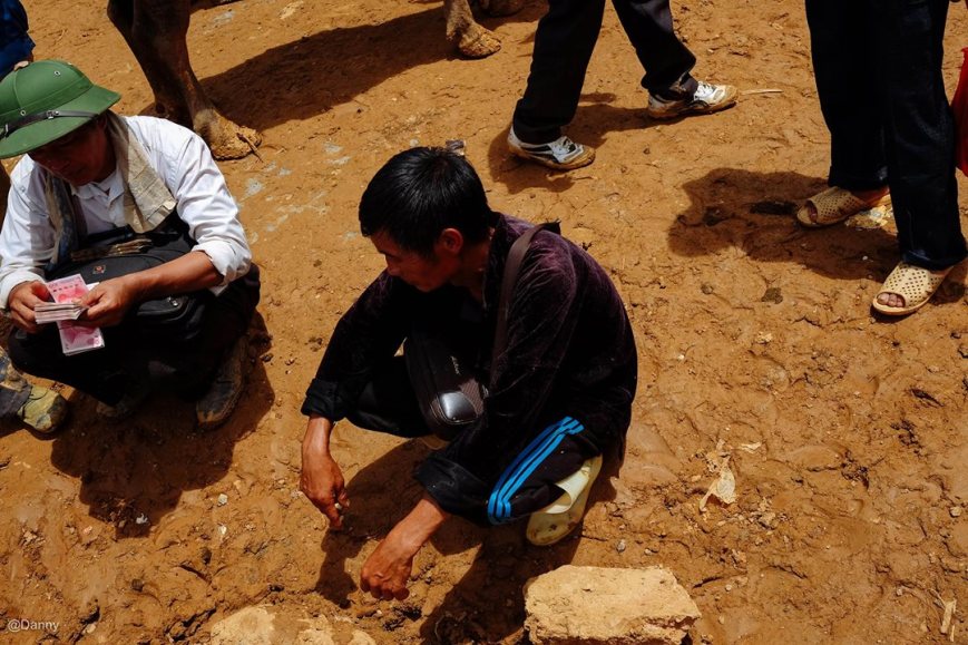 13391663_866718240099845_2030519665072848164_o