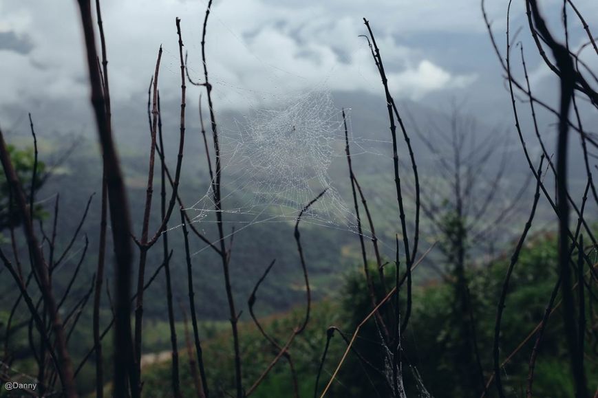 13403213_865676270204042_7972853346910358307_o