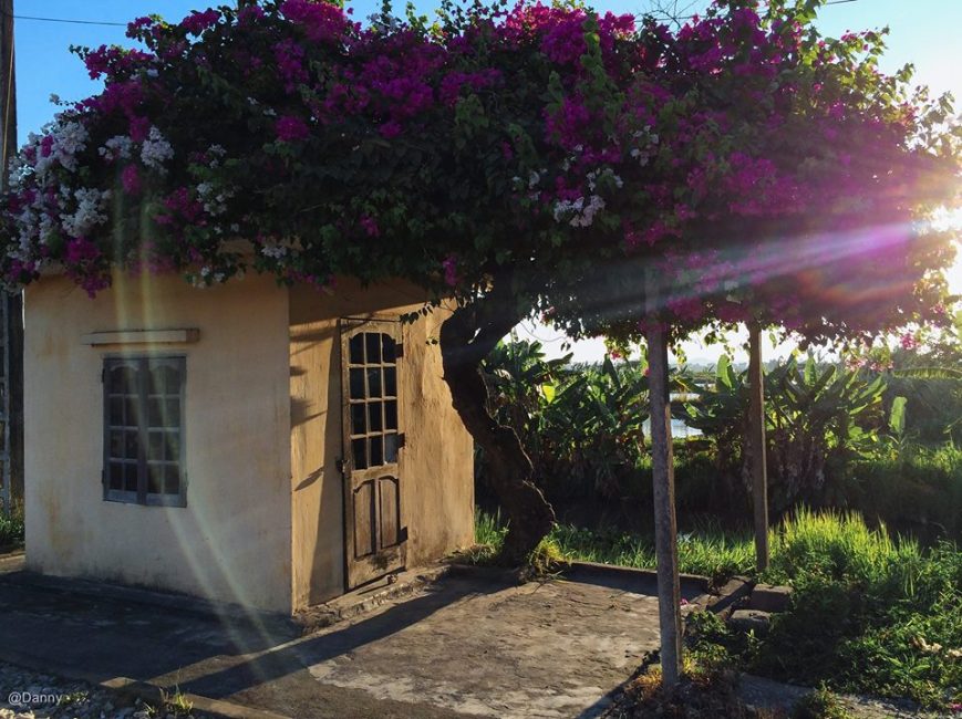 13403841_870775686360767_7223463013909366356_o