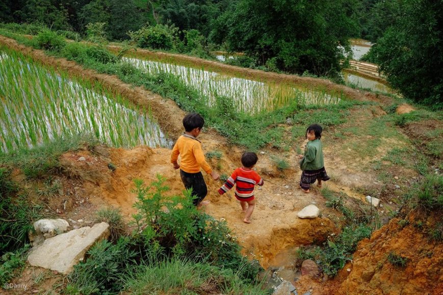 13403895_866719763433026_5463456980973311662_o