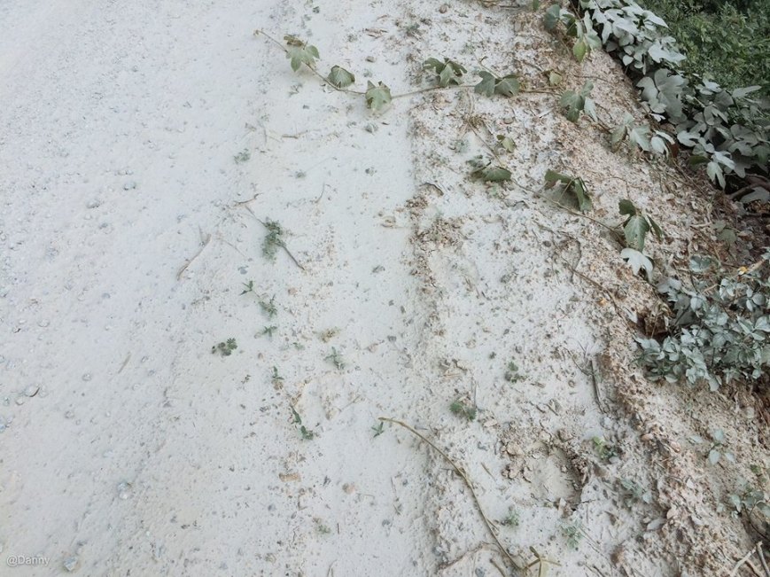 13404034_868183916619944_765472059399890621_o