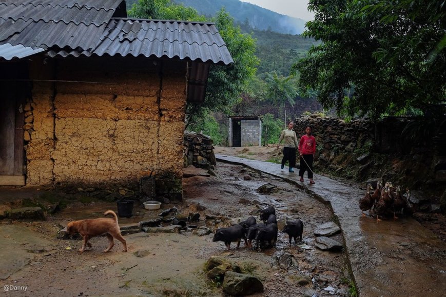 13411698_865676846870651_2599645558533590554_o