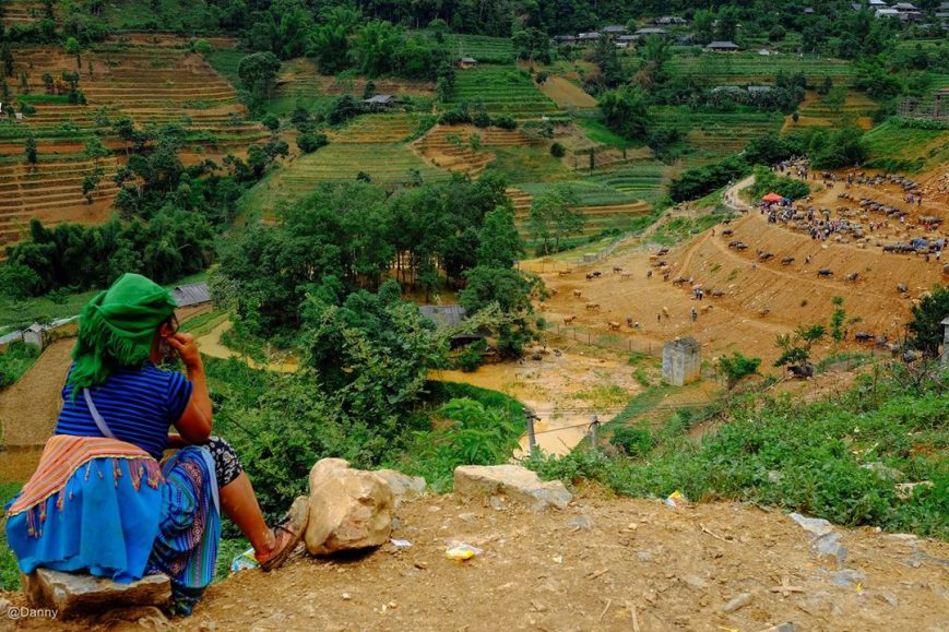 13412049_866715660100103_5002838242155644810_o (1)