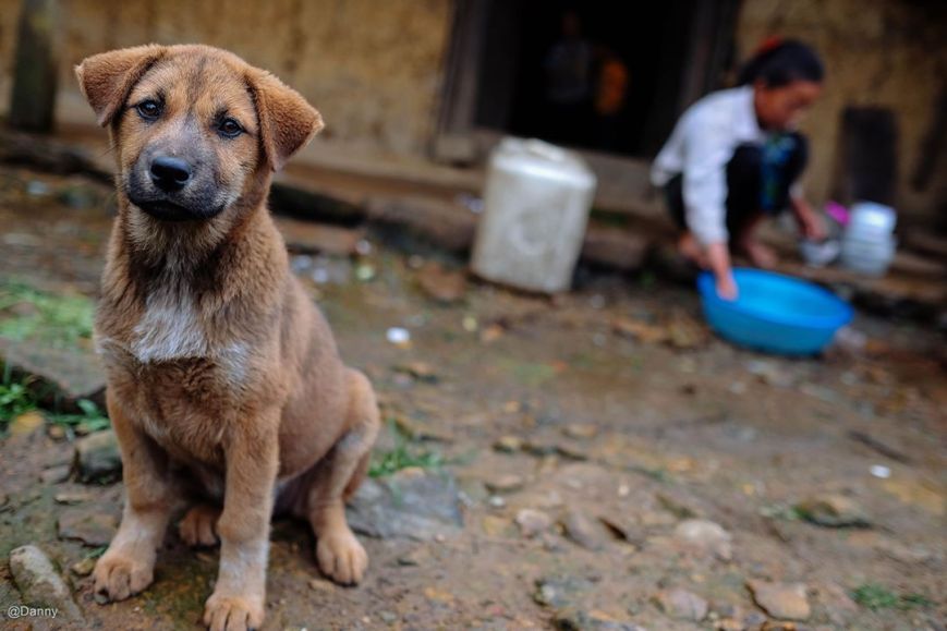 13412210_865676363537366_7407170891400400507_o