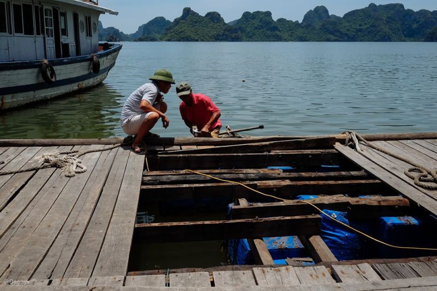 13415480_869223633182639_4766509680338220895_o