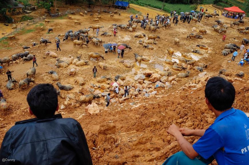 13415652_866716726766663_3576041525776424677_o