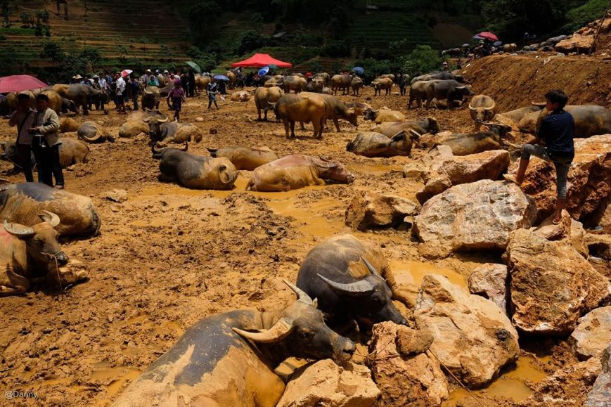 13416880_866717103433292_8131329587436957849_o