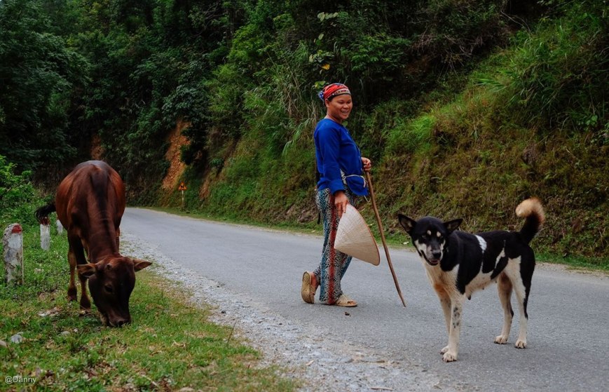 13416914_867764349995234_3026916516445895764_o