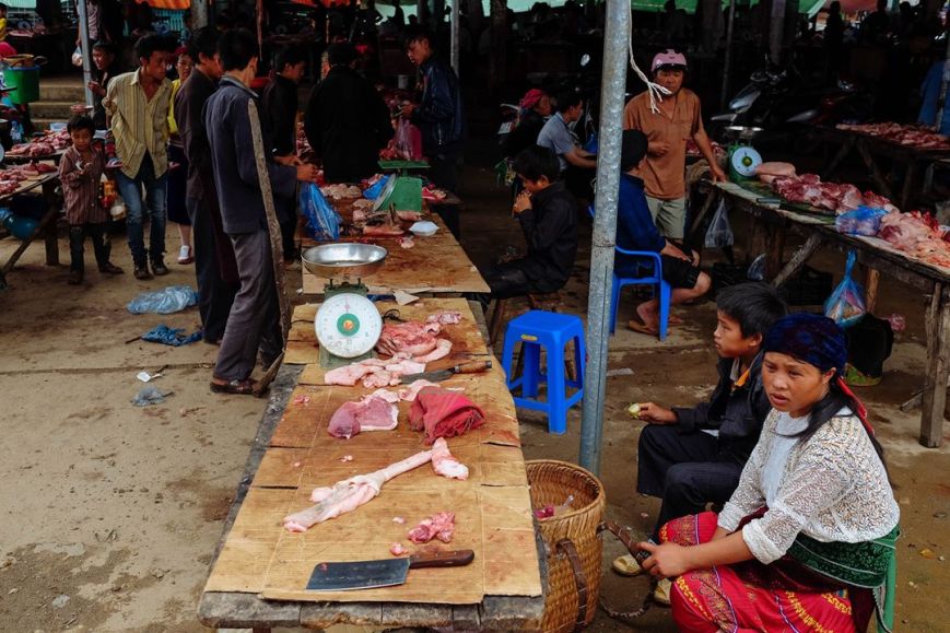 13418466_867760999995569_5492992584378478046_o