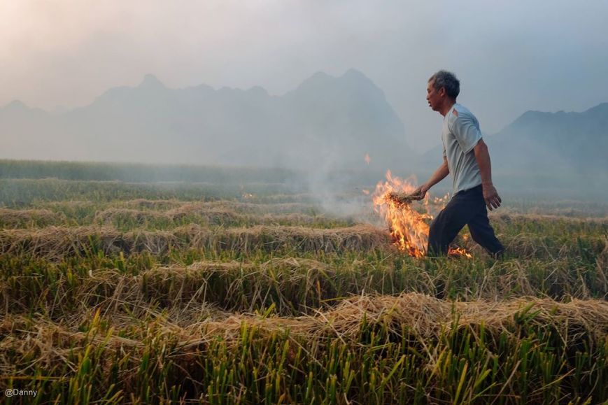 13418499_870234966414839_2866997517435827015_o