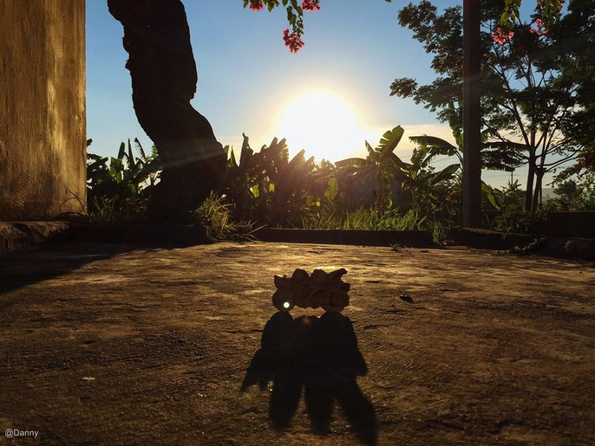 13418574_870775913027411_4355640679437408859_o