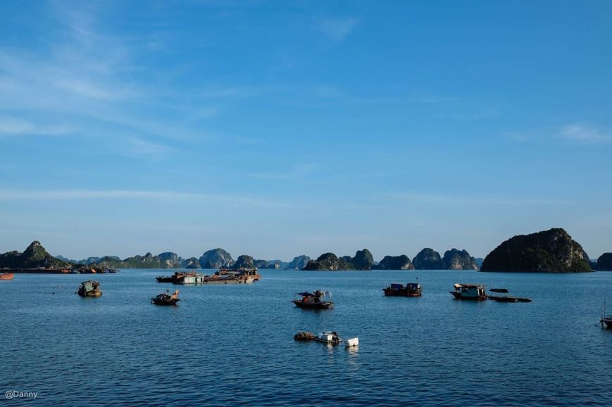 13422290_868659133239089_8150090580305824591_o