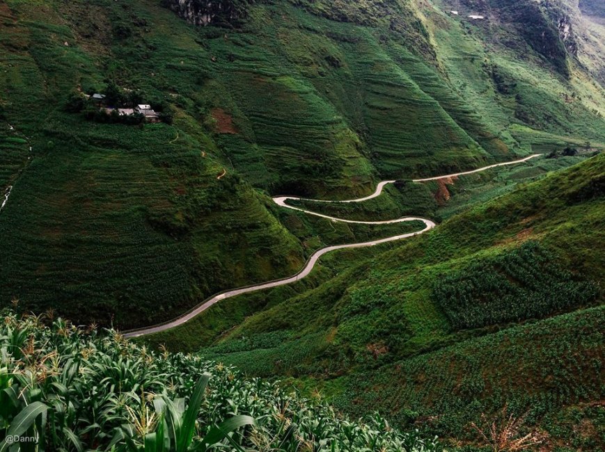 13422461_867762239995445_7996028930392168958_o