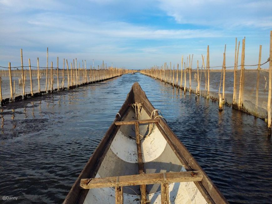 13443134_871817176256618_8381277794081969381_o