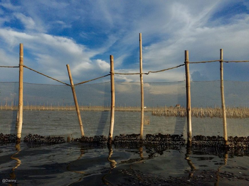 13443194_871817379589931_6054951733008769068_o