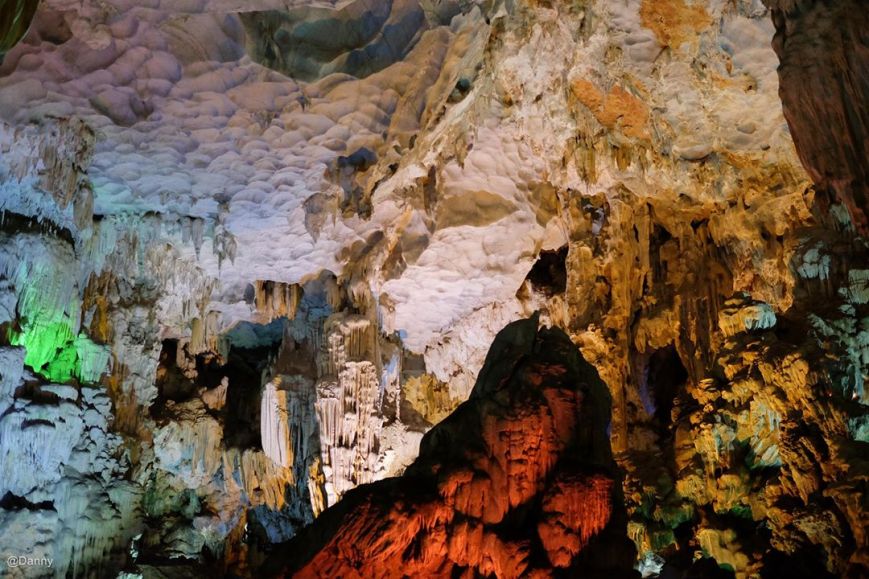 13458658_869223096516026_7493313956178678084_o