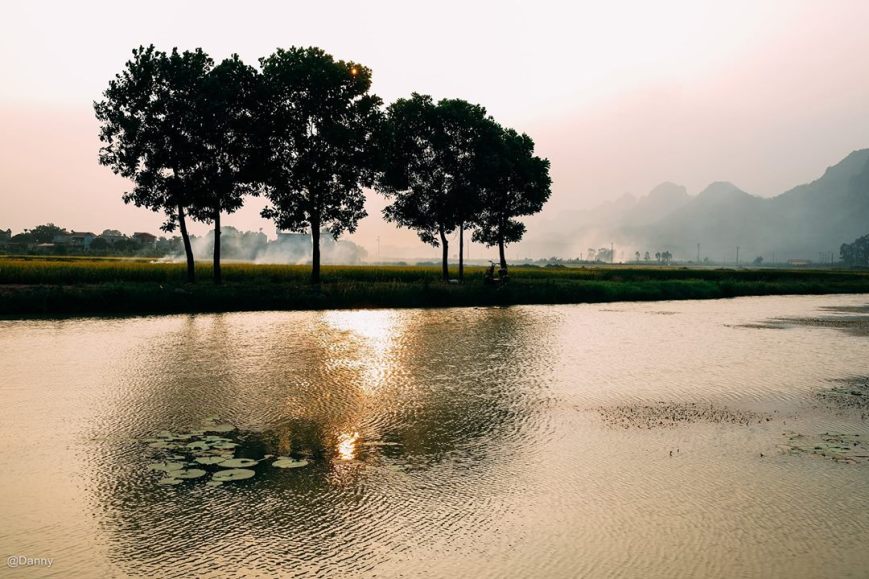 13458749_870234859748183_2586175906769629134_o