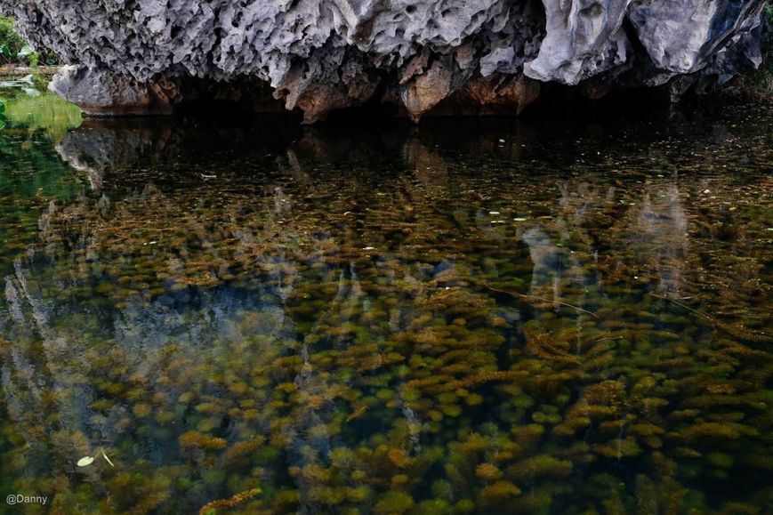 13474944_870233586414977_5527990031660691797_o