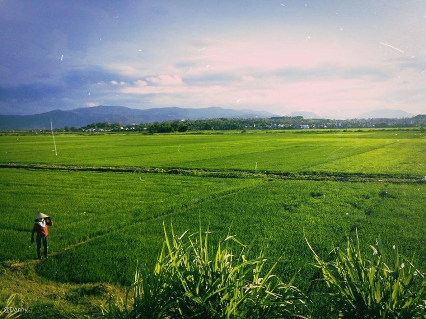 13474976_873408229430846_2461739773049095882_o