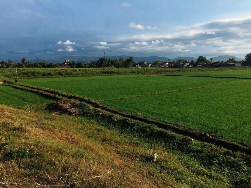 13475046_873406486097687_7674533680492012367_o