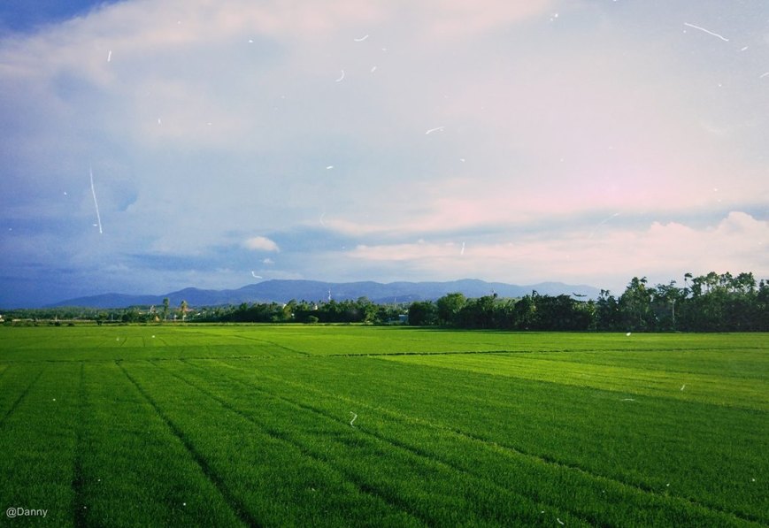 13475051_873407129430956_8425540089478565060_o