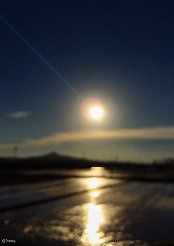 13475138_870775436360792_1433797489082994169_o