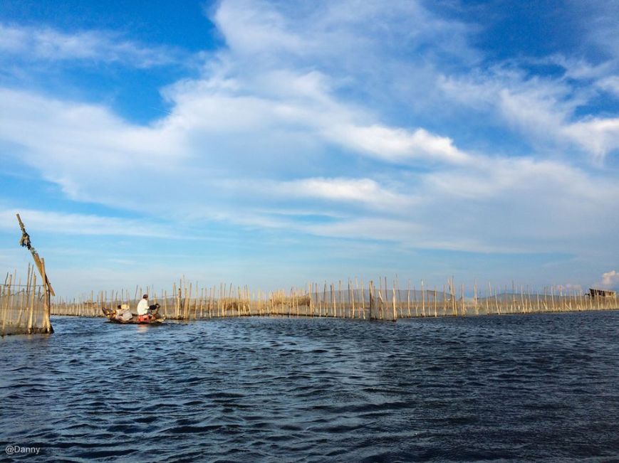 13475224_871817126256623_3680368192822437882_o