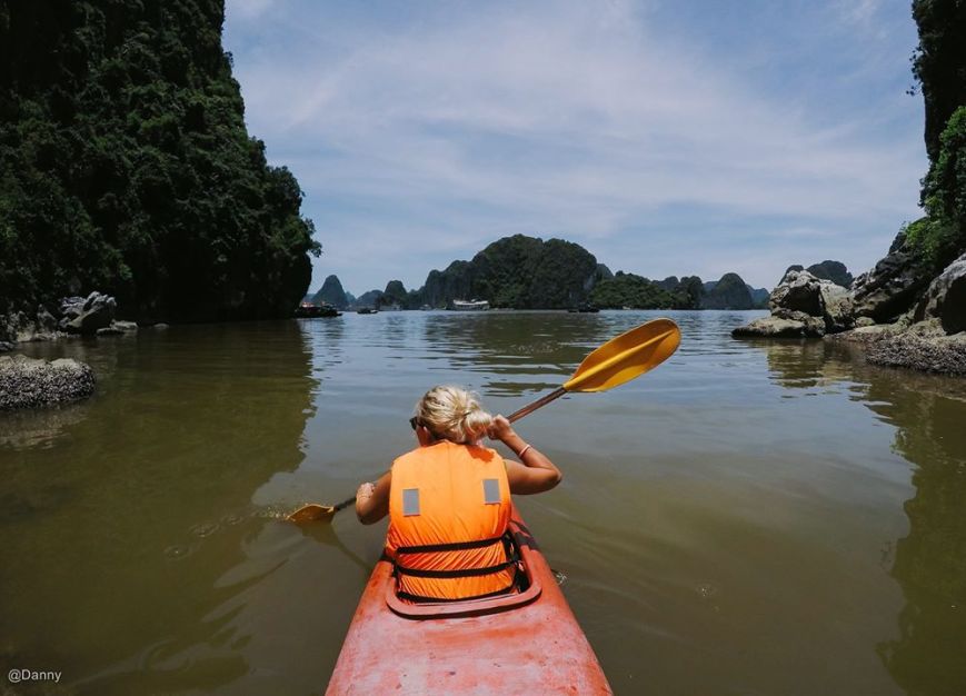 13475240_869223313182671_767084168726930298_o