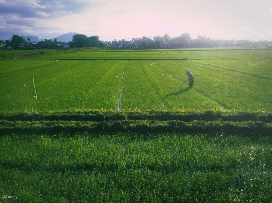 13482795_873406472764355_4476859023948662417_o